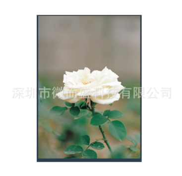 LCD液晶屏出現(xiàn)閃屏怎么解決？